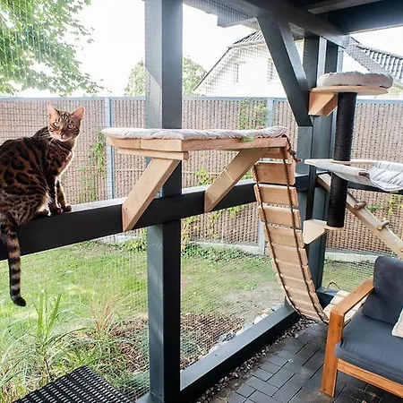 Strandkater