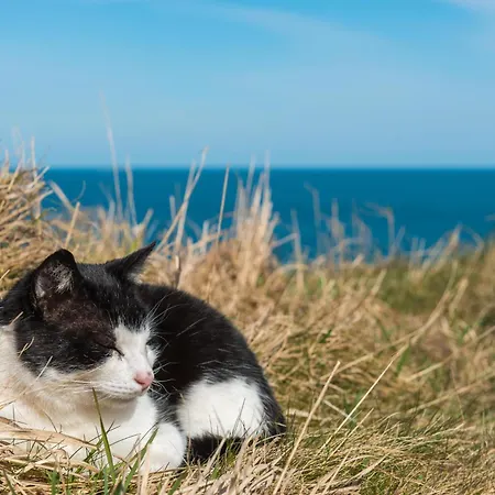 Сasa de vacaciones Strandkater *