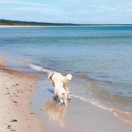 Сasa de vacaciones Strandkater Altenkirchen (Mecklenburg-Vorpommern)