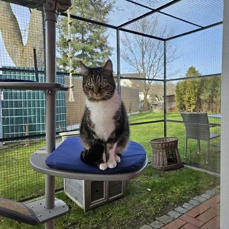 Strandkater Altenkirchen (Mecklenburg-Vorpommern)